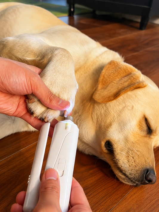 PawTrim™ LED Nail Clipper & Grinder