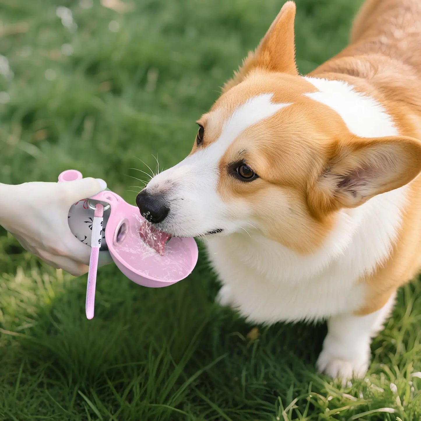 SuperDesign Portable Dog Water Bottle