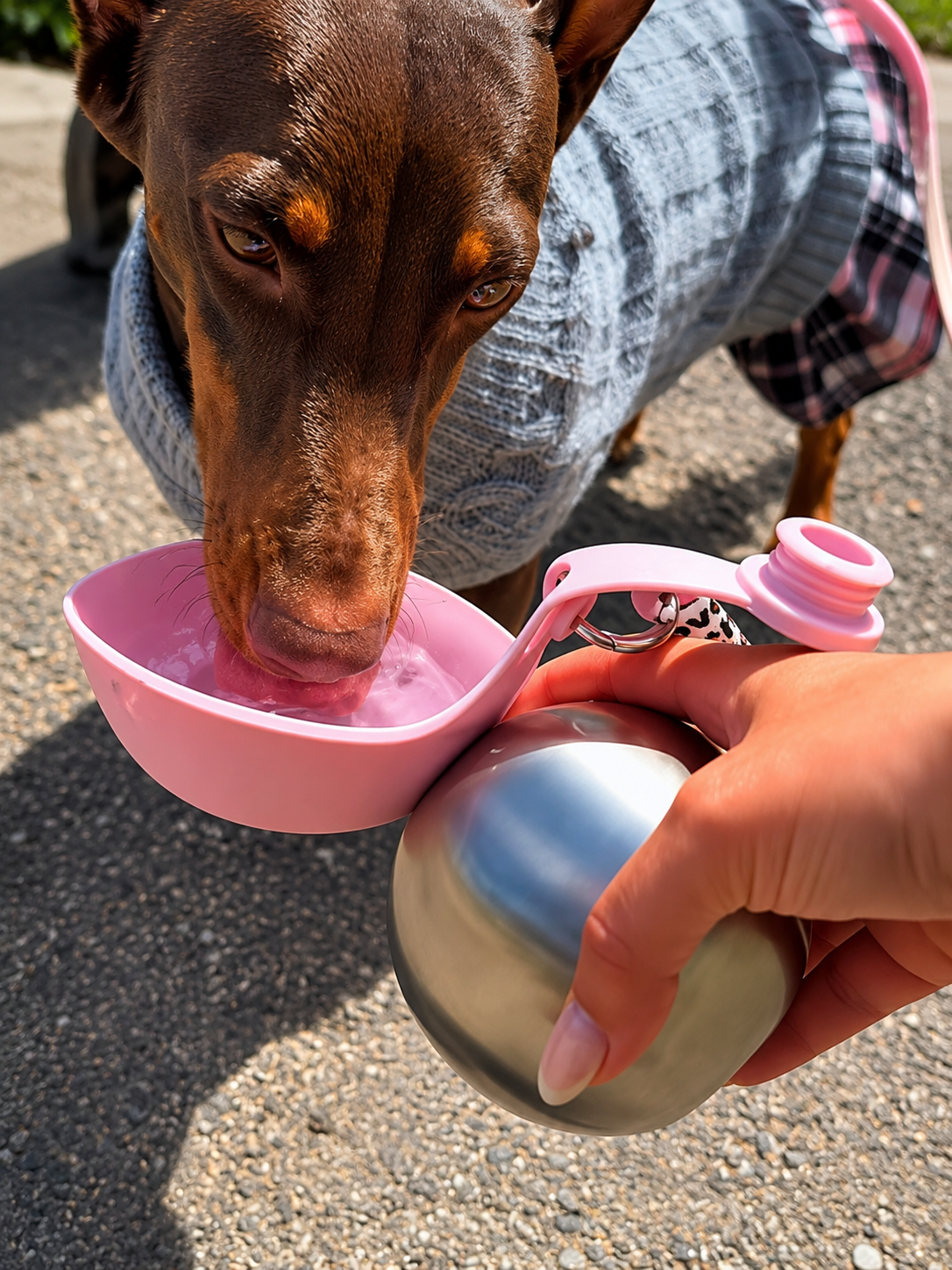 SuperDesign Portable Dog Water Bottle