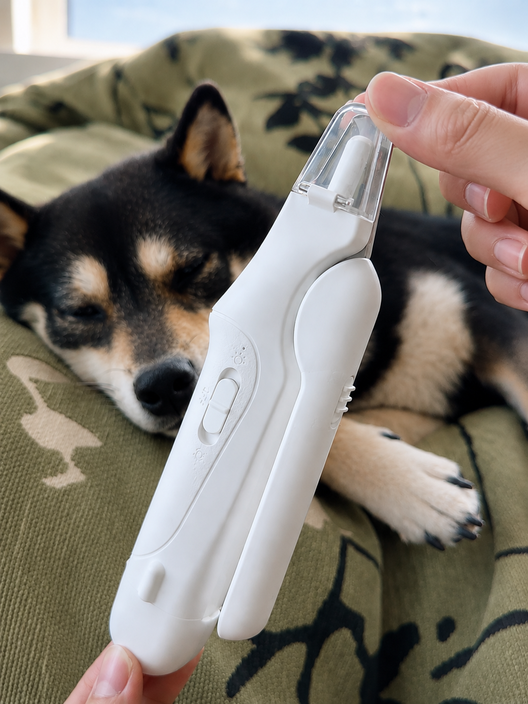 PawTrim™ LED Nail Clipper & Grinder