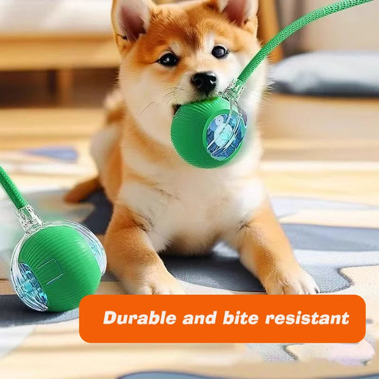SmartRoll Ball™ Interactive Dog Toy
