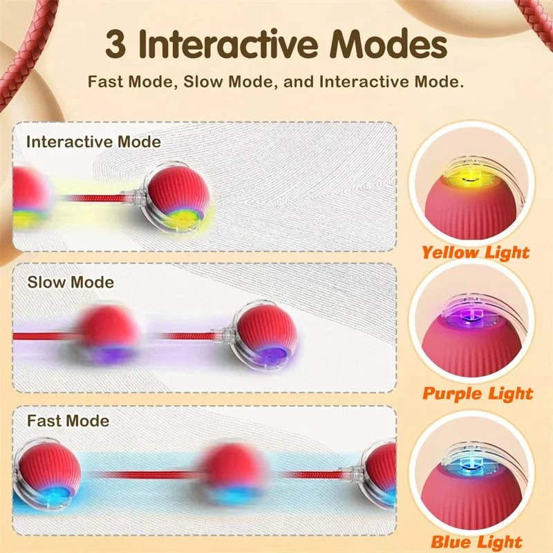 SmartRoll Ball™ Interactive Dog Toy